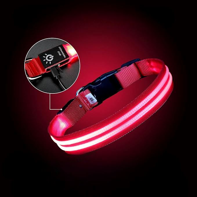 Collier LED pour chien LEDCollarDog™ rose – haute visibilité, taille réglable
