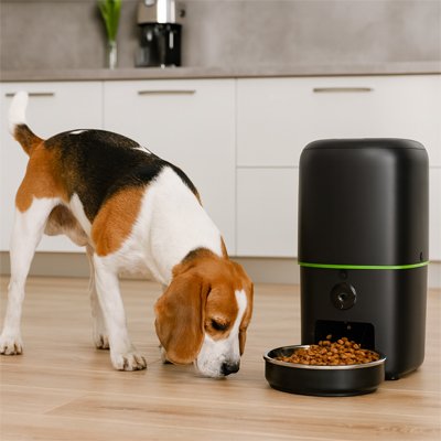 Distributeur automatique croquettes | SmartPet