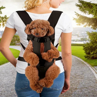 Sac à dos pour chien noir – sécurisé PetCarrier™