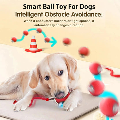 Jouet Intelligent Interactif pour Chiens SmartBall™ 2025