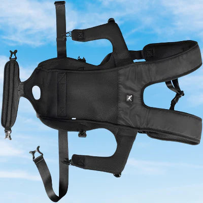 Sac à dos pour chien noir – sécurisé PetCarrier™
