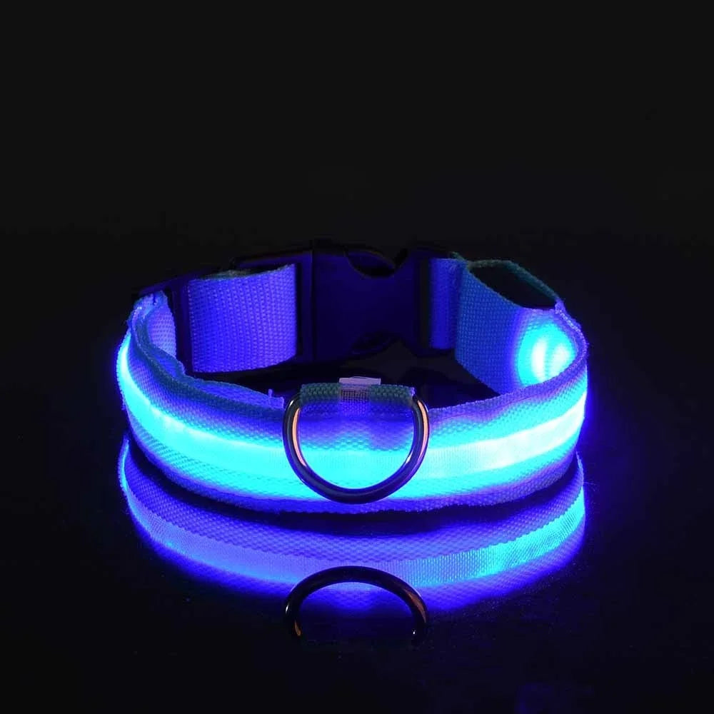 Collier LED pour chien LEDCollarDog™ bleu – rechargeable, visibilité 300 mètres