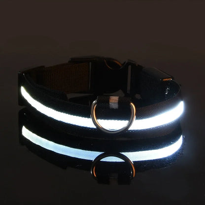 Collier LED pour chien LEDCollarDog™ noir – sécurité de nuit, lumière clignotante