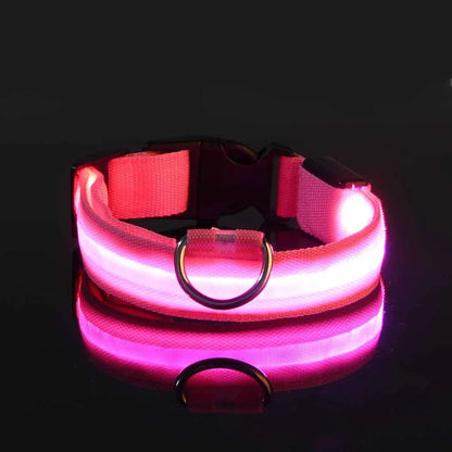 Collier LED pour chien LEDCollarDog™ rose – haute visibilité, taille réglable