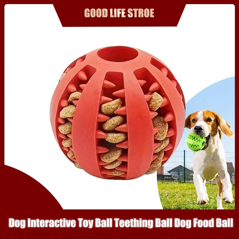 Balle Interactive pour Chien – Jouet Distributeur de Friandises
