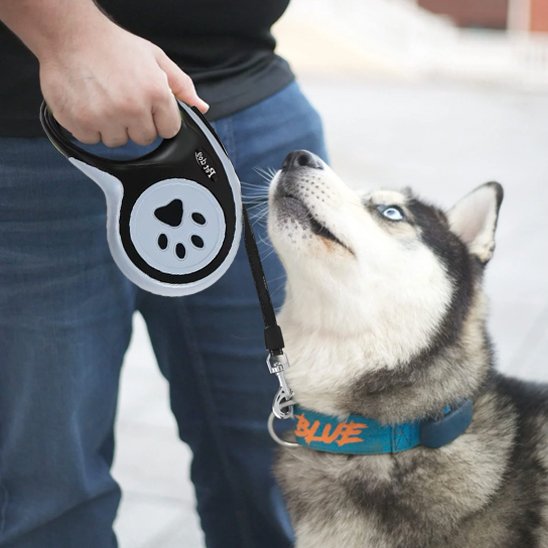 Laisse pour chien | Rétractable Liberté