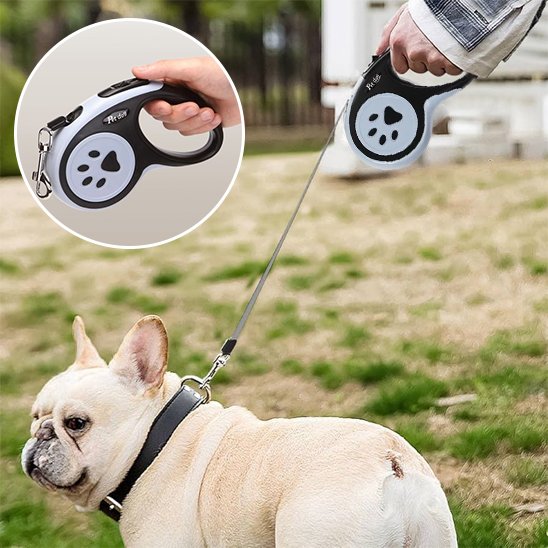 Laisse pour chien | Rétractable Liberté