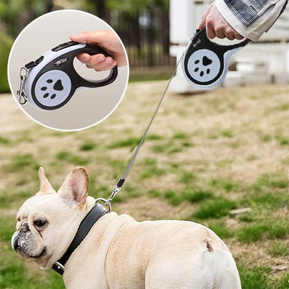 Laisse pour chien | Rétractable Liberté