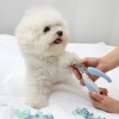 Coupe griffes pour chien | PattePrecision