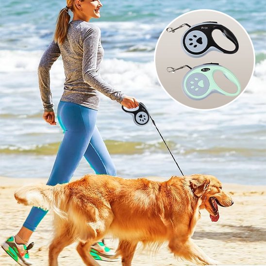 Laisse pour chien | Rétractable Liberté