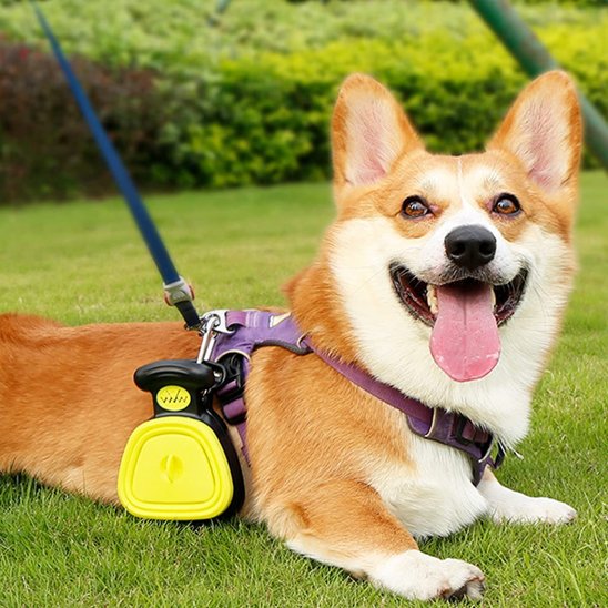 Ramasse crottes pour chien | Hygiénique