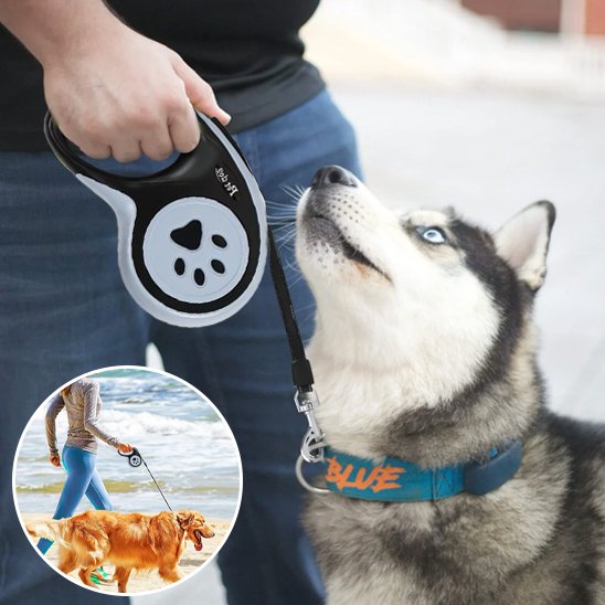 Laisse pour chien | Rétractable Liberté