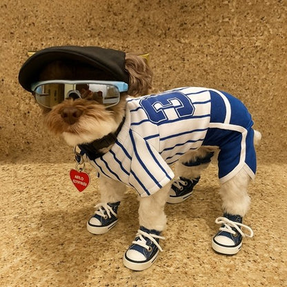 Chaussure Chien | PawProtect