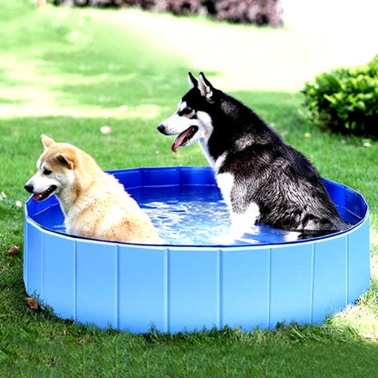 Piscine pour chien | Rafraîchissante
