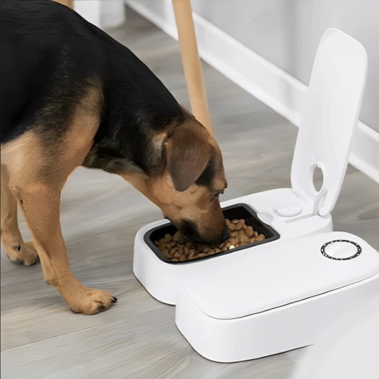 Distributeur croquette automatique | PetCare