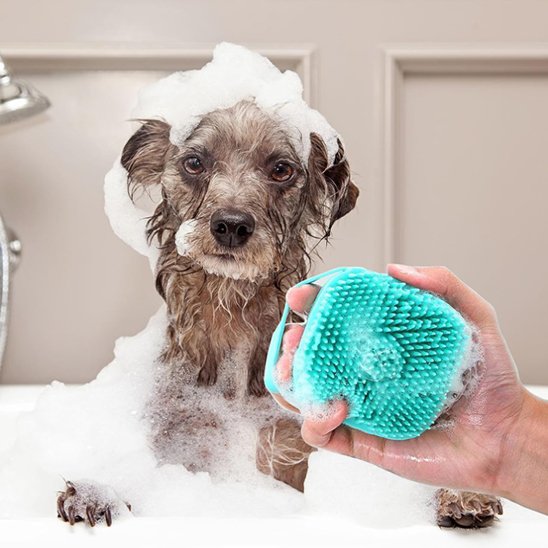 Brosse chien | Anti-nœuds