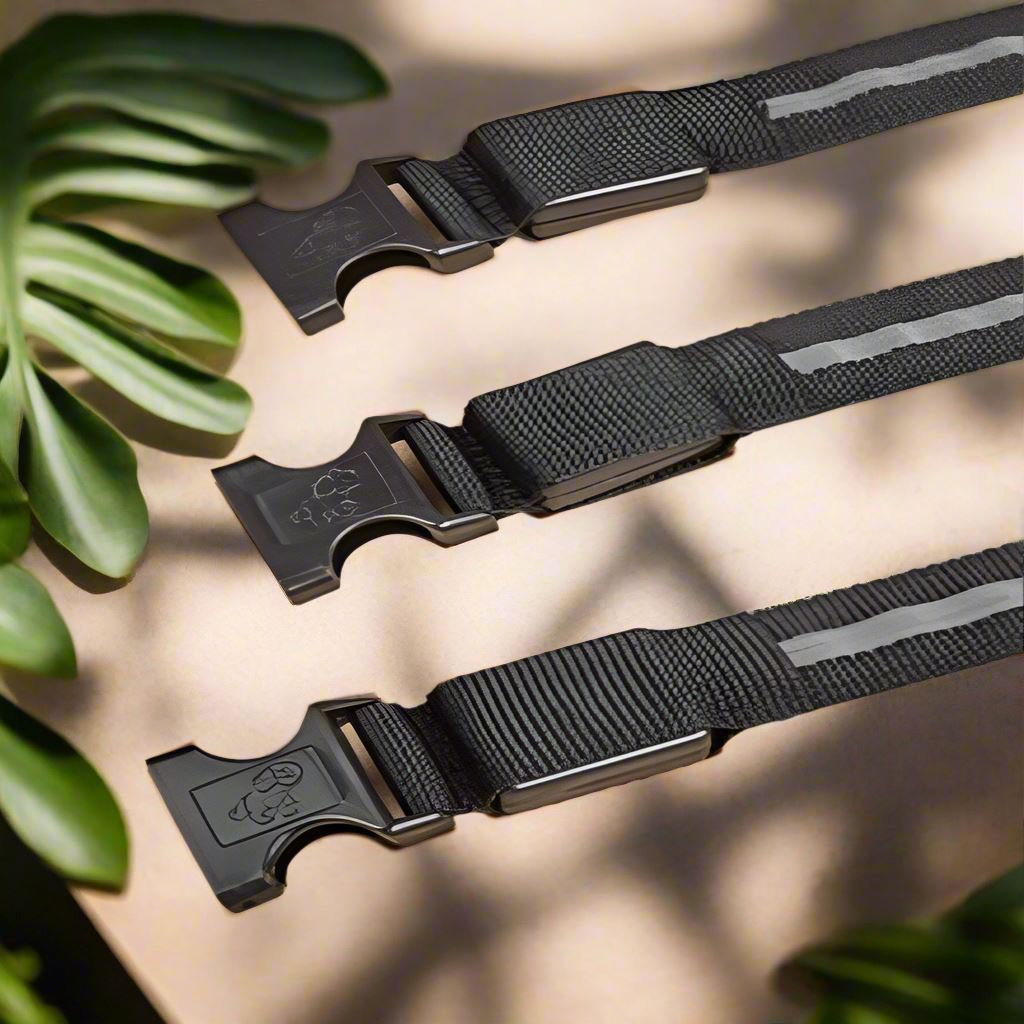 Collier LED pour chien LEDCollarDog™ noir – sécurité de nuit, lumière clignotante